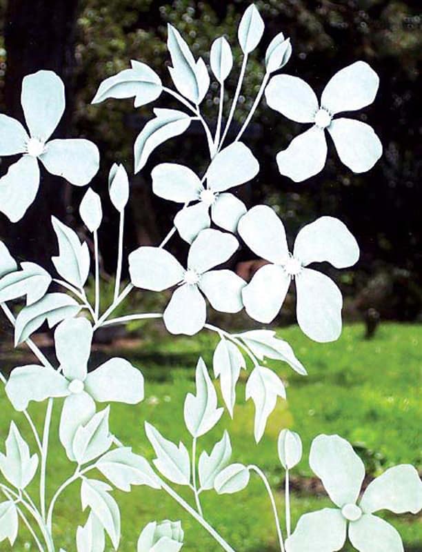 Clematis Window Detail Clematis Window