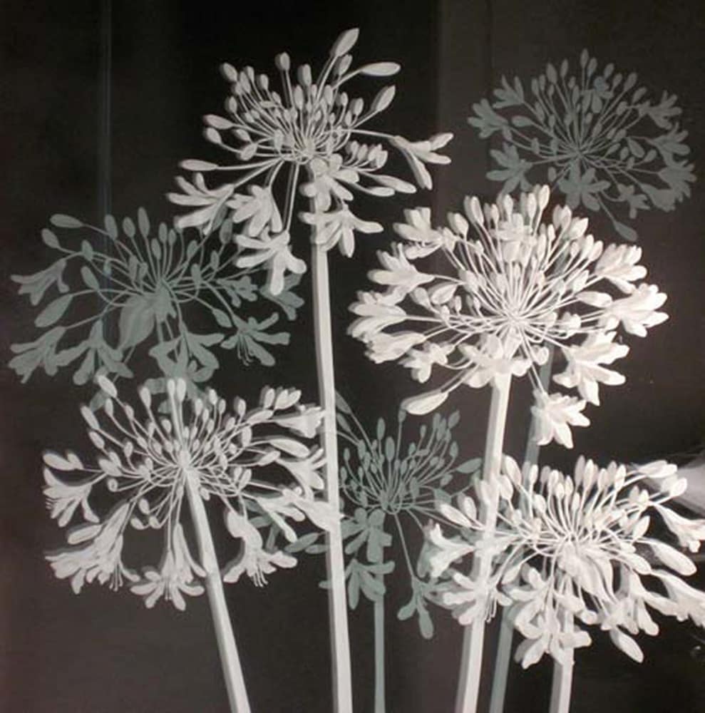 detail of Agapantha door