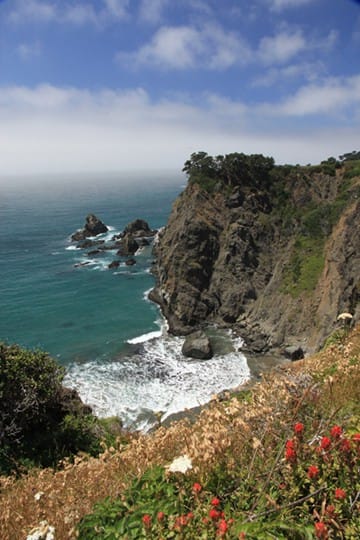 Rugged Redwood Coast