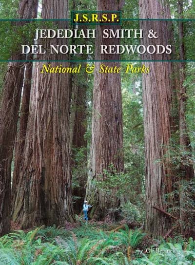 Jedediah Smith Redwoods