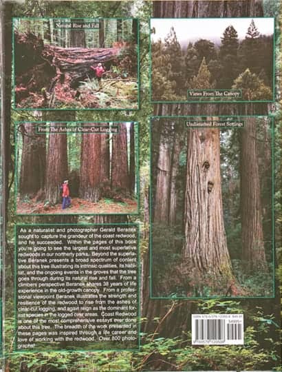 Coast Redwood cover