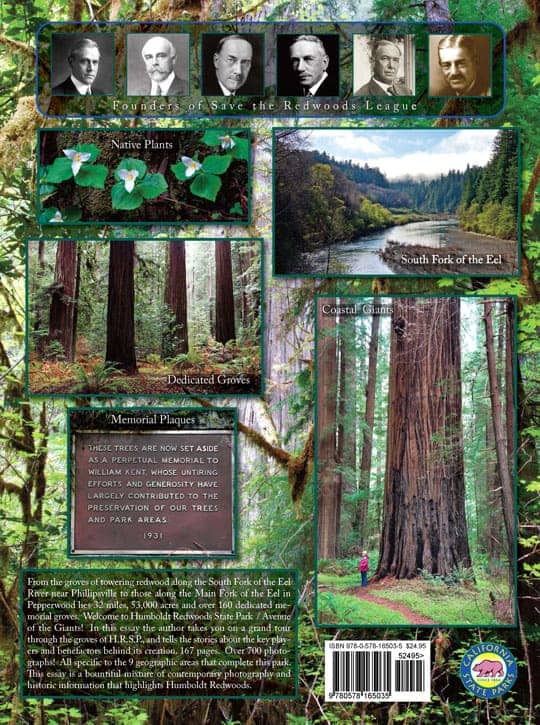 Humboldt Redwoods State Park